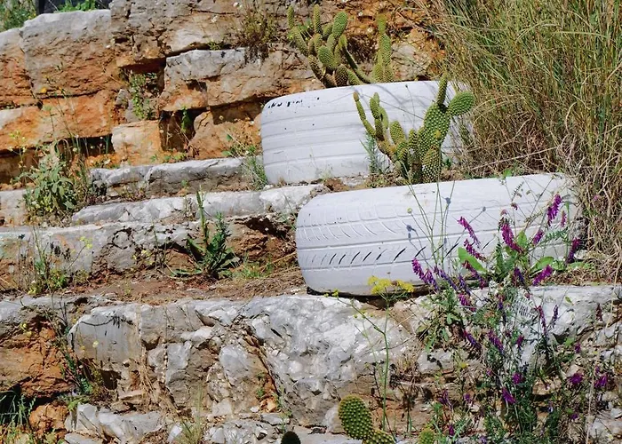 Alojamento de Acomodação e Pequeno-almoço Leon Sarandë